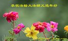 Published on 2/17/2018 ���ֹ�,�ƴ��󷨡��ص����ơ���½���ڸ�лʦ�����