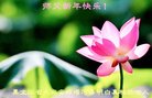 Published on 2/17/2018 ���ֹ�,�ƴ��󷨡��ص����ơ���½���ڸ�лʦ�����