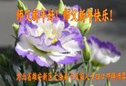 Published on 2/17/2018 ���ֹ�,�ƴ��󷨡��ص����ơ���½���ڸ�лʦ�����