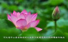 Published on 2/16/2018 ���ֹ�,���󷨵��ӹ�ףʦ�������(28��)