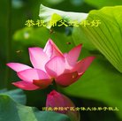 ���ֹ�,ʯ��ׯ�󷨵��ӹ�ףʦ�������(24��)