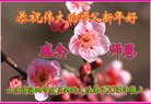 Published on 2/17/2018 ���ֹ�,�Ƿ���Ѻ�󷨵��ӹ�ףʦ�������(17��)