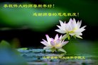 Published on 2/16/2018 ���ֹ�,��½�󷨵��ӹ�ףʦ�������(29��)