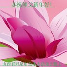 ���ֹ�,ɽ���󷨵��ӹ�ףʦ�������(22��)