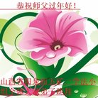 ���ֹ�,ɽ���󷨵��ӹ�ףʦ�������(18��)