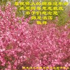 ���ֹ�,����󷨵��ӹ�ףʦ�������(22��)