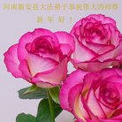 ���ֹ�,���ϴ󷨵��ӹ�ףʦ�������(21��)