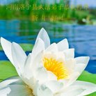 ���ֹ�,���ϴ󷨵��ӹ�ףʦ�������(21��)