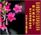 Published on 2/16/2018 ���ֹ�,��½�󷨵��ӹ�ףʦ�������(31��)