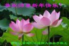 ���ֹ�,�������󷨵��ӹ�ףʦ������(19��)