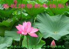 ���ֹ�,�������󷨵��ӹ�ףʦ������(19��)
