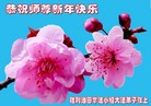 Published on 2/12/2018 ���ֹ�,����ҵ�󷨵��ӹ�ףʦ�������(26��)