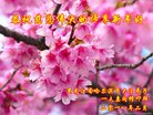 ���ֹ�,�������󷨵��ӹ�ףʦ�������(18��)