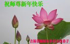 Published on 2/13/2018 ���ֹ�,���󷨵��ӹ�ףʦ�������(22��)