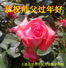 ���ֹ�,�����󷨵��ӹ�ףʦ�������(28��)