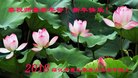 ���ֹ�,�������󷨵��ӹ�ףʦ������(23��)