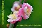 ���ֹ�,�ػʵ��󷨵��ӹ�ףʦ������(22��)