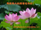 Published on 2/12/2018 ���ֹ�,���󷨵��ӹ�ףʦ�������(21��)