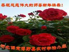 Published on 2/12/2018 ���ֹ�,���󷨵��ӹ�ףʦ�������(21��)