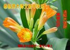 Published on 2/13/2018 ���ֹ�,���󷨵��ӹ�ףʦ�������(22��)