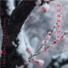 ���ֹ�,�����󷨵��ӹ�ףʦ�������(23��)