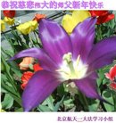 ���ֹ�,�����󷨵��ӹ�ףʦ�������(23��)