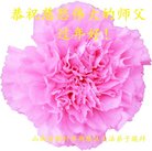 ���ֹ�,ɽ���󷨵��ӹ�ףʦ�������(23��)