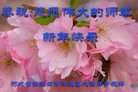 ���ֹ�,�żҿڴ󷨵��ӹ�ףʦ�������(18��)