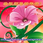 ���ֹ�,ɽ���󷨵��ӹ�ףʦ�������(19��)