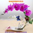 ���ֹ�,�������󷨵��ӹ�ףʦ�������(19��)