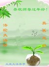 ���ֹ�,����󷨵��ӹ�ףʦ�������(21��)