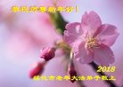 ���ֹ�,�������󷨵��ӹ�ףʦ�������(21��)