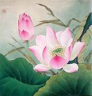 ���ֹ�,��������󷨵��ӹ�ףʦ�������(20��)