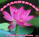 ���ֹ�,�ɶ��󷨵��ӹ�ףʦ�������(21��)