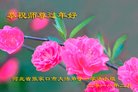 ���ֹ�,�żҿڴ󷨵��ӹ�ףʦ�������(18��)