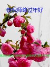 ���ֹ�,�������󷨵��ӹ�ףʦ�������(21��)
