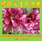 ���ֹ�,�����󷨵��ӹ������編�ִ�����ʦ�𻪵�(24��)