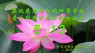 Published on 5/12/2018 ���ֹ�,���󷨵��ӹ������編�ִ�����ʦ�𻪵�(23��)