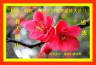 ���ֹ�,�ӱ��󷨵��ӹ������編�ִ�����ʦ�𻪵�(21��)