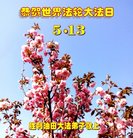 Published on 5/12/2018 ���ֹ�,����ҵ�󷨵��ӹ������編�ִ�����ʦ�𻪵�(26��)