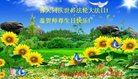 ���ֹ�,�żҿڴ󷨵��ӹ������編�ִ�����ʦ�𻪵�(22��)