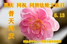 ���ֹ�,�ӱ��󷨵��ӹ������編�ִ�����ʦ�𻪵�(31��)