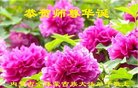 Published on 5/13/2018 ���ֹ�,ʥ��Ĺ��ﾴ��ʦ�𡡸����������ط��ִ󷨺鴫