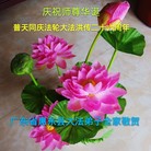 ���ֹ�,�㶫�󷨵��ӹ������編�ִ�����ʦ�𻪵�(27��)