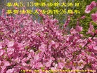 Published on 5/12/2018 ���ֹ�,���󷨵��ӹ������編�ִ�����ʦ�𻪵�(26��)