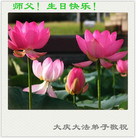 ���ֹ�,�������󷨵��ӹ������編�ִ�����ʦ�𻪵�(19��)