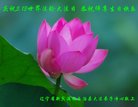 Published on 5/13/2018 ���ֹ�,ʥ��Ĺ��ﾴ��ʦ�𡡸����������ط��ִ󷨺鴫