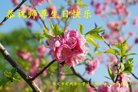 ���ֹ�,�����󷨵��ӹ������編�ִ�����ʦ�𻪵�(27��)