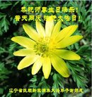 ���ֹ�,�����󷨵��ӹ������編�ִ�����ʦ�𻪵�(19��)