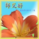 ���ֹ�,�ൺ�󷨵��ӹ������編�ִ�����ʦ�𻪵�(24��)